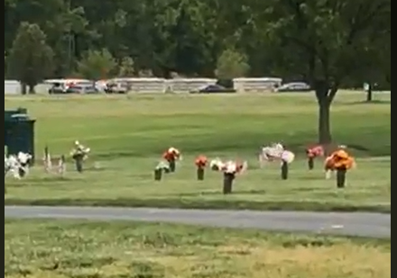 veteran cemetery